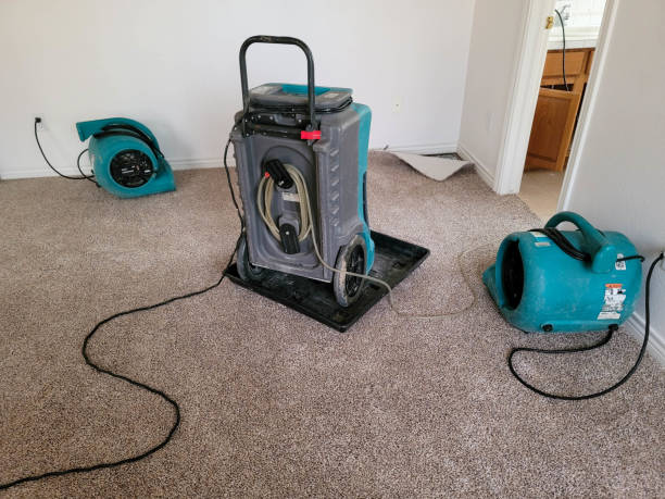 Best Residential water damage restoration  in Forreston, IL