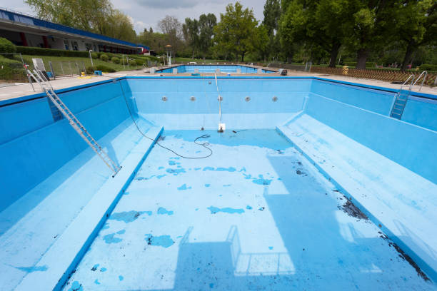 Best Professional water damage repair  in Forreston, IL