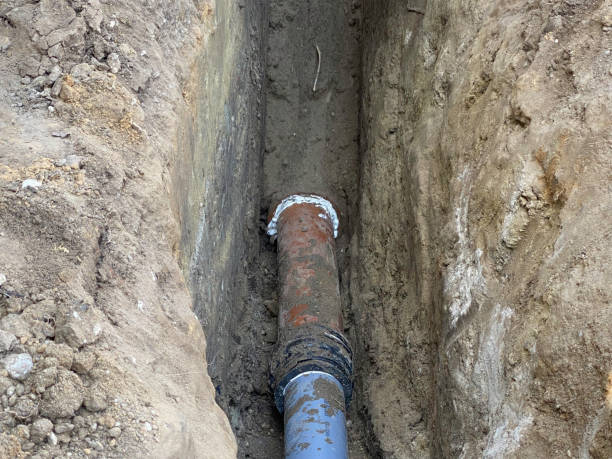 Best Basement water damage restoration  in Forreston, IL