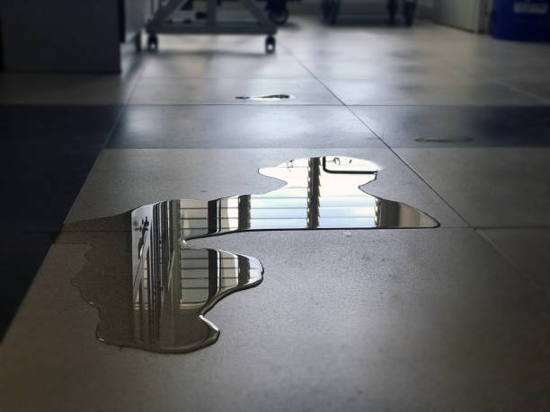 Best 24/7 water damage repair  in Forreston, IL