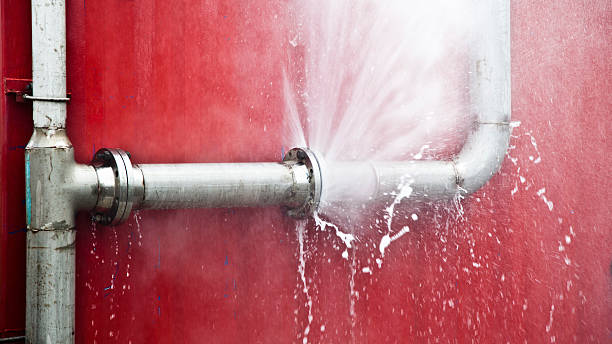 Best Mold removal after water damage  in Forreston, IL
